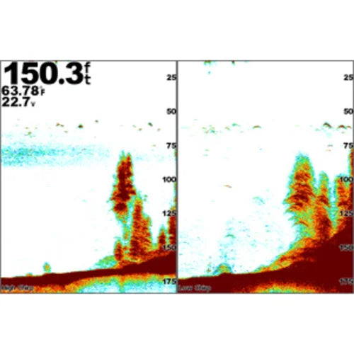 GSD™ 25 Premium Sonar Module